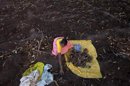 El extracto de cúrcuma protegería al corazón tras una cirugía