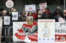 Concentración antiaborto. EFE/Archivo