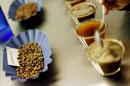 Expertos señalan que el café contiene entre 10 % y 12 % de cafeína, sustancia también presente en gaseosas y bebidas energizantes y cuyos efectos estimulantes tardan en desaparecer entre 60 y 90 minutos. EFE/Archivo