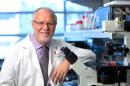 El doctor Eduardo Marban, director del Instituto de Cardiología del Hospital Cedars-Sinai en Los Angeles, y quien dirigió un experimento en que se usó un gen para crear en animales un ritmo cardiaco normal. Foto tomada en febrero del 2014, suministrada por Cedars-Sinai. (Foto AP/Eric Myer, Cedars-Sinai)