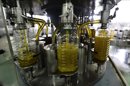 España es el responsable del 60 % de la producción mundial de aceite de oliva y en el periodo comprendido entre 2011-2012 exportó 968.146 toneladas, según el Instituto Español de Comercio Exterior (ICEX). EFE/Archivo