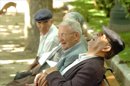 Un grupo de jubilados descansan a la sombra de un arbol en un parque madrileño.EFE/Archivo