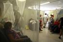 Paraguay atraviesa el peor azote de dengue de su historia, con 248 muertos en 2013, frente a los 70 de 2012. EFE/Archivo