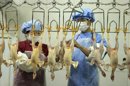 China ha invitado a un grupo de expertos en virus emergentes, y gripe humana y animal, para evaluar el brote de gripe aviar H7N9. EFE