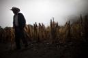 La peor parte de los efectos del fenómeno de El Niño la lleva Centroamérica, donde la sequía es una de las más severas de las últimas décadas y ya deja 3,5 millones de personas afectadas, según las autoridades de El Salvador, Honduras, Nicaragua y Guatemala. EFE/Archivo