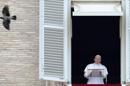 El papa Francisco quiso expresar hoy su cercanía con los portadores del virus VIH y los enfermos del síndrome de inmunodeficiencia adquirida, en particular con los niños, justo en la jornada en la que se conmemora el Día Mundial de la Lucha contra el Sida. EFE
