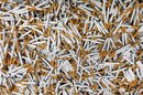 La UE busca acabar con el "atractivo" de las cajetillas de tabaco